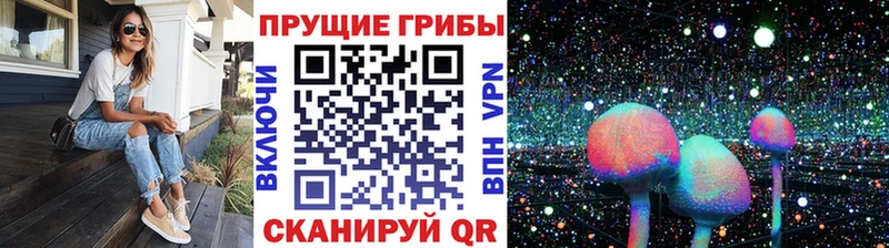Псилоцибиновые грибы прущие грибы  Купить где  Юрьев-Польский 